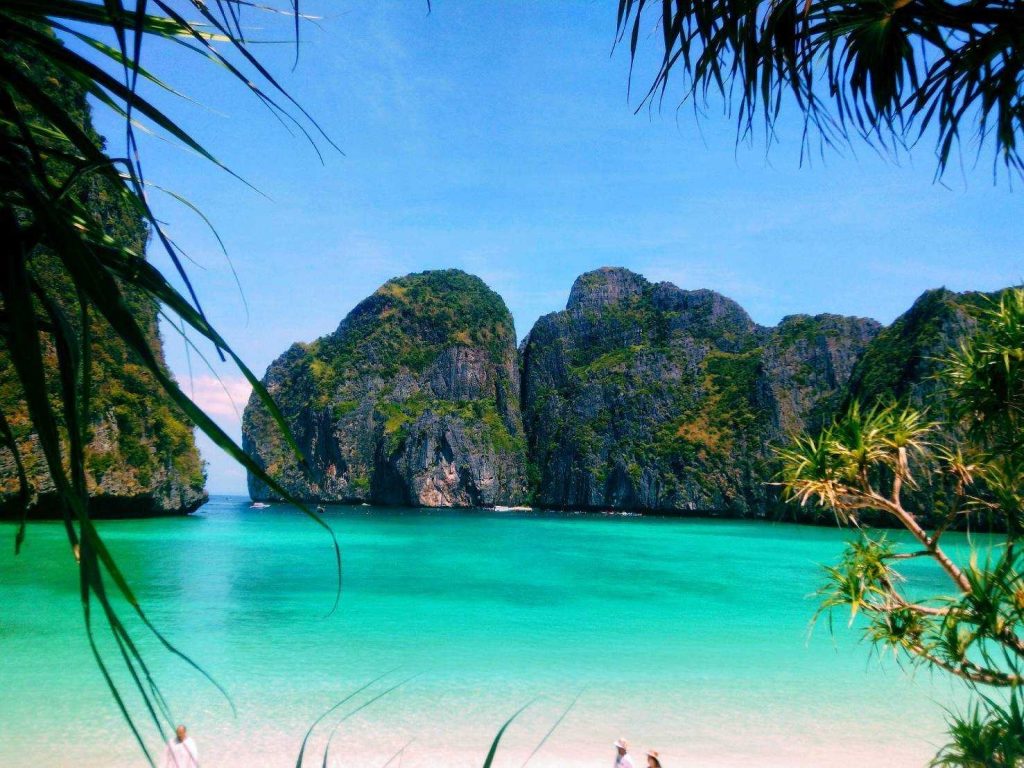 Starting at 900 baht (Not Include National Park fee) (Activities start at 2 persons)

ITINERARY

 	8:00-9:00 Am. Pick up from yout hotel.
 	10:00 Am. Arrive PhiPhi Lay, First stop at maya bay for take a pictures. Then visit Pileh Lagoon natural lagoon paradise is arrounded by limestone mountains. Move to Monkey Bay for snorkeling from boat.
 	12:30 Pm. Arrived at Bamboo Island. We will serve lunch on the island (Relaxing on the white sandy beach)
 	13:30 Pm. Heading to Shark Point snorkeling from boat,
 	14:10 Pm. Arrived at PhiPhi Don Please enjoy youself, Sightseeing around Island or shopping
 	15:00 Pm. Depart from PhiPhi Don back to Lanta Island, Transfer you back to resort.

INCLUDING : Resort  Transger, Lunch, Soft drink & Seasonal, Fruits, Snorkeling Equipment, Insurance, Guide