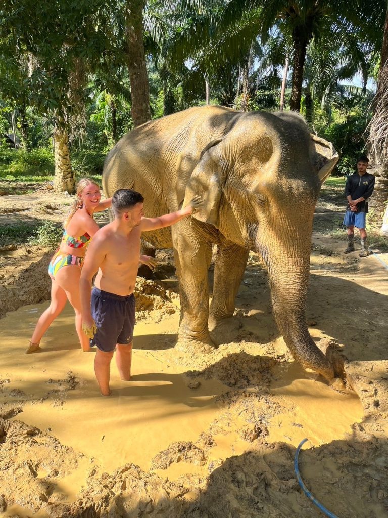 Starting at 2,700 baht (Activities start at 2 persons)

ITINERARY

 	Moring pick up from your resort
 	Walk with elephants and elephant feedling
 	Get mud spa with your elephant.
 	Enjoy bathing with your elephant in the pool.
 	Prepare foods and herbal medicine for elephants.
 	Greeting with elephants
 	Make paper from elephant's poo and take back the paper as seuvenire.
 	Transfer back to your resort.

INCLUDING : Resort  Transger, Fruits, Drink water, Insurance

WHAT TO BRING : Shirt for doing activities, Slippers, Towel, T-shirt for change

 