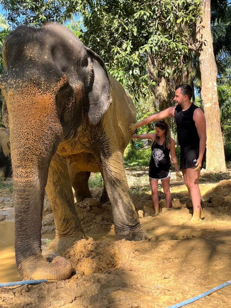 Paper from  elephant's poo & making herbal medicine 1 Child (Morning) - Koh Lanta Noi