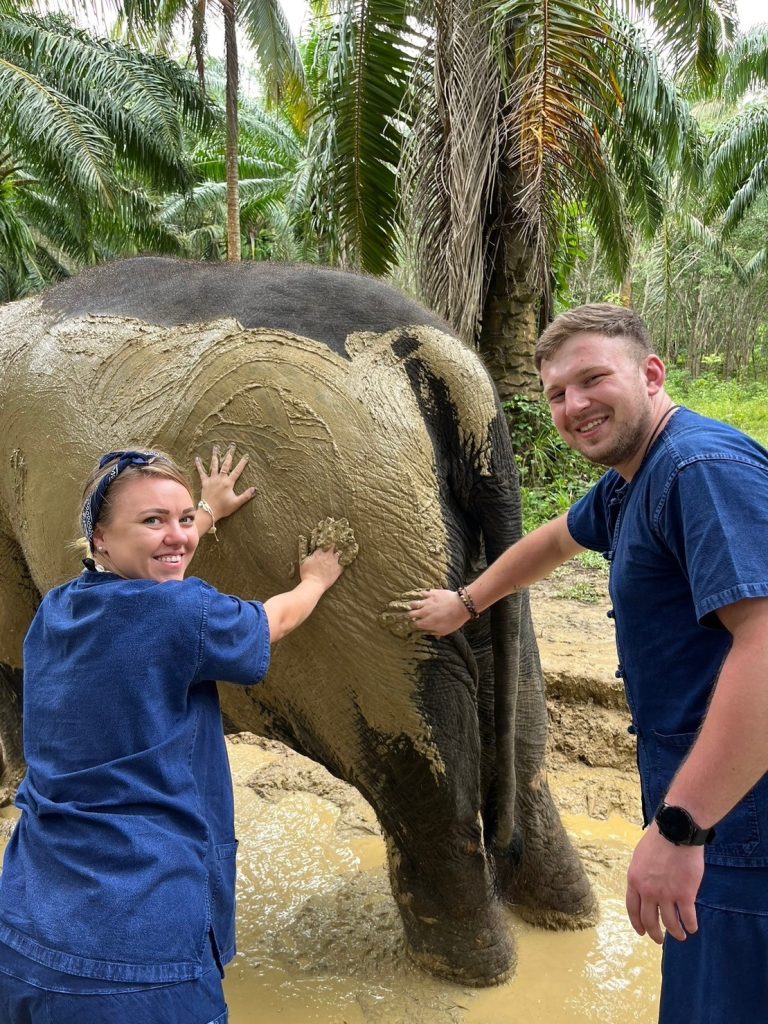 Paper from  elephant's poo & making herbal medicine 1 Adult (Afternoon) - Koh Lanta Noi