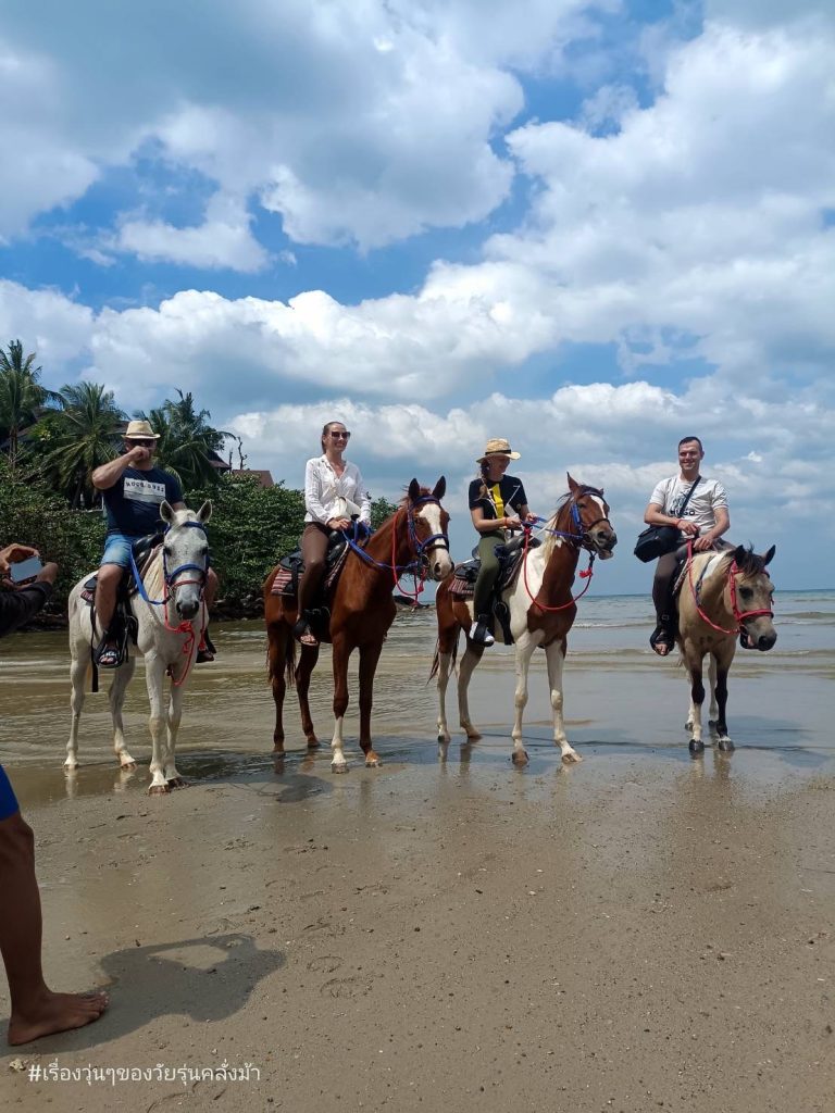 Horse Riding Bangtao, Phuket